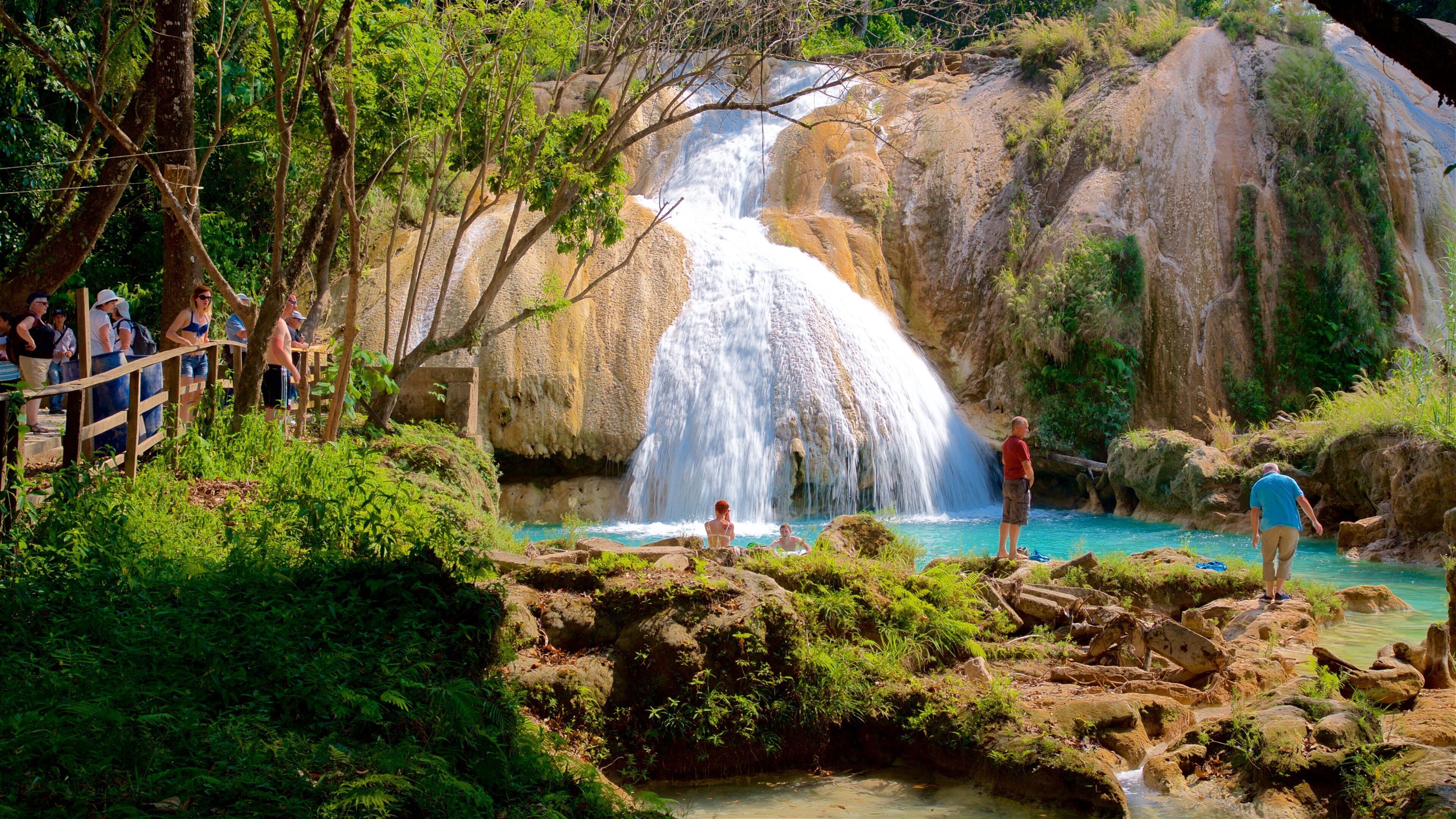 Cascadas de Agua Azul 设有 小瀑布 和 河流或小溪 以及 小群人