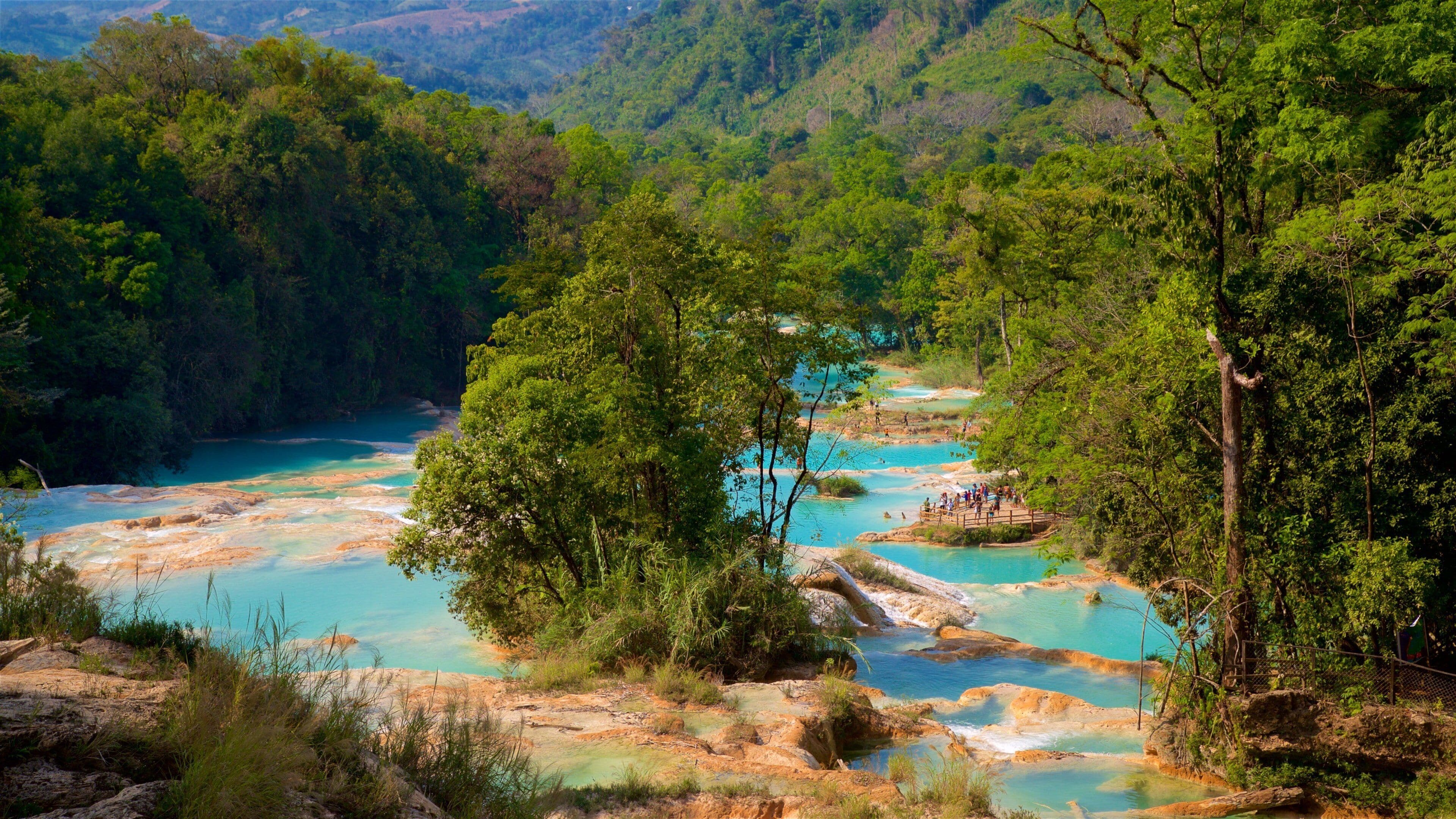 Cascadas de Agua Azul showing a river or creek and landscape views