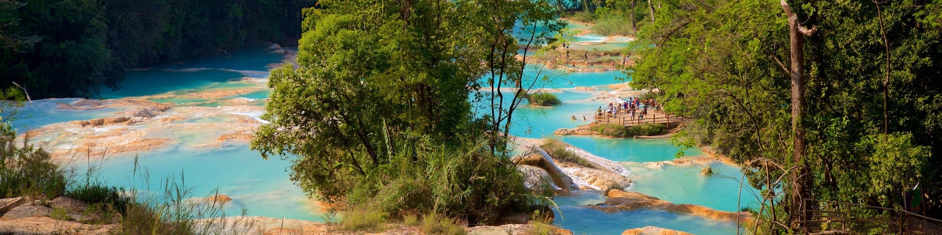 Cascadas de Agua Azul showing a river or creek and landscape views