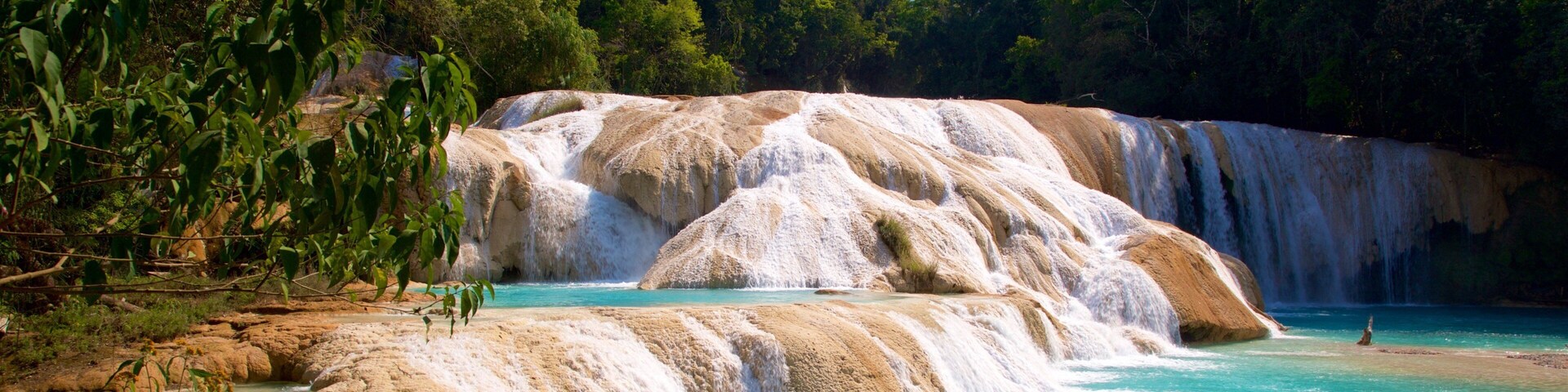 Cascadas de Agua Azul featuring a waterfall and a river or creek