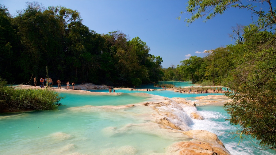 Cascadas de Agua Azul which includes a river or creek as well as a small group of people