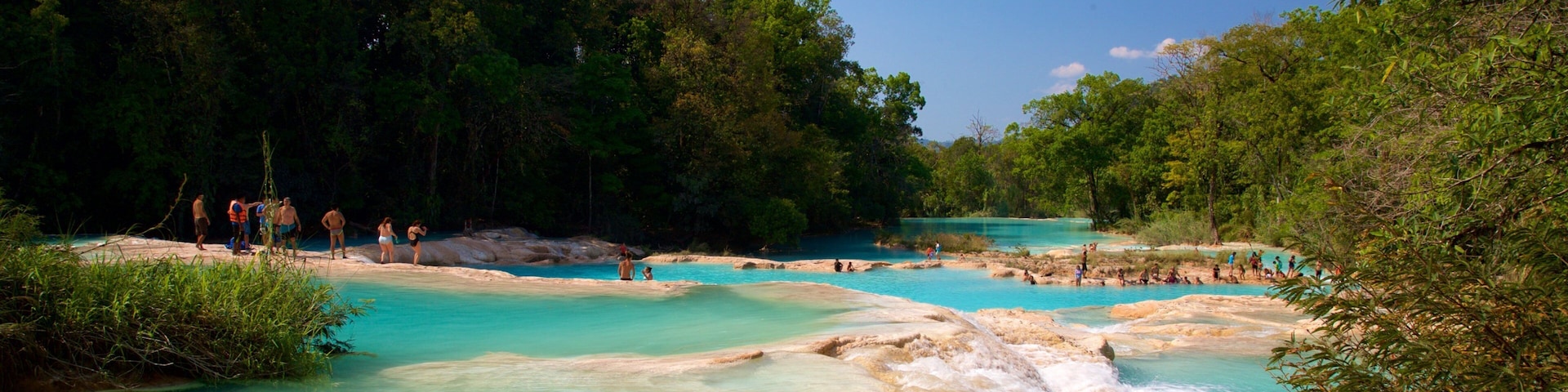 Cascadas de Agua Azul ์ ํน์ง ๊ฐ ๋๋ ์๋ด ๋ฟ๋ง ์๋๋ผ ์๊ท๋ชจ ์ฌ๋๋ค