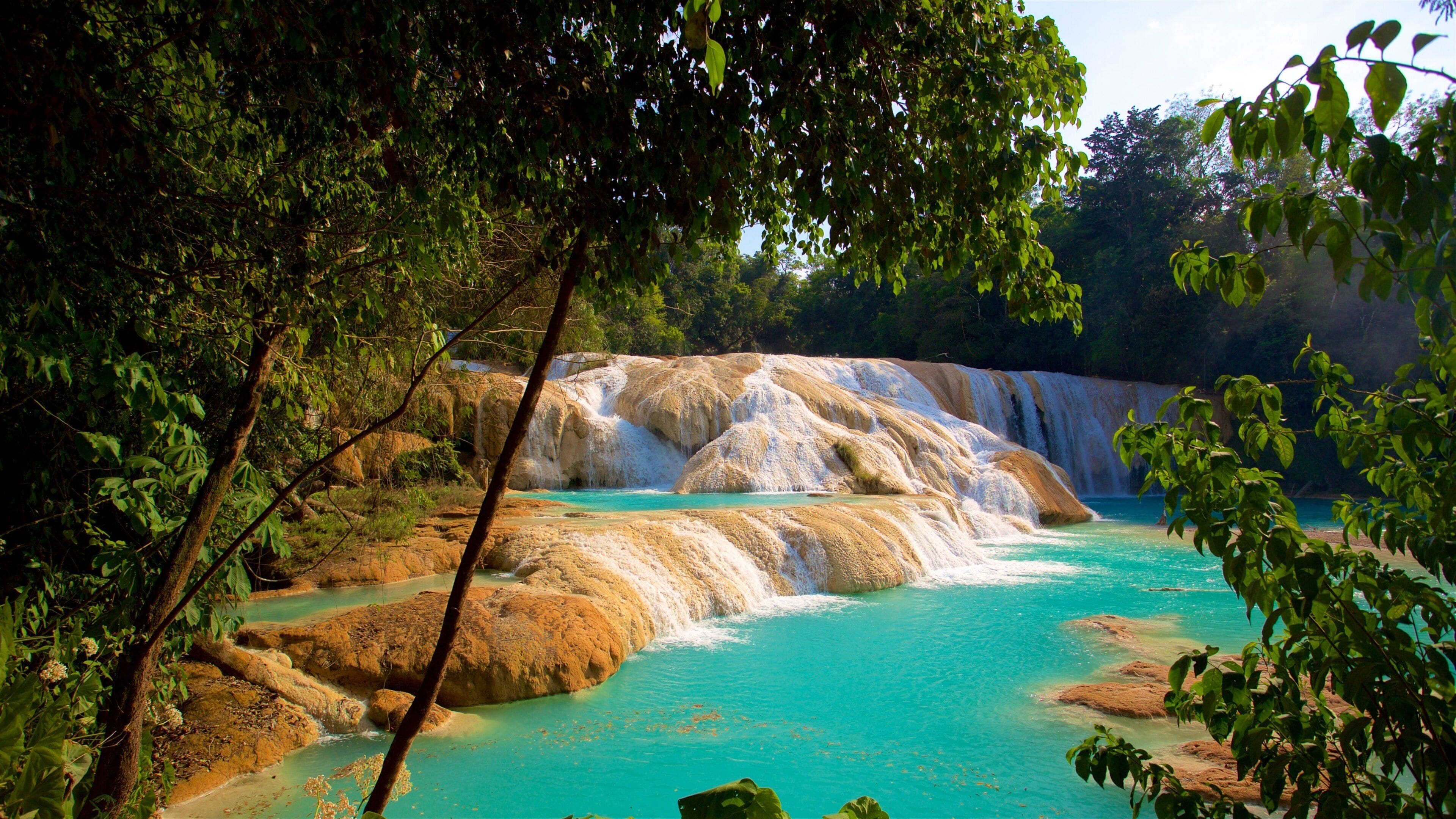 Cascadas de Agua Azul mostrando un río o arroyo