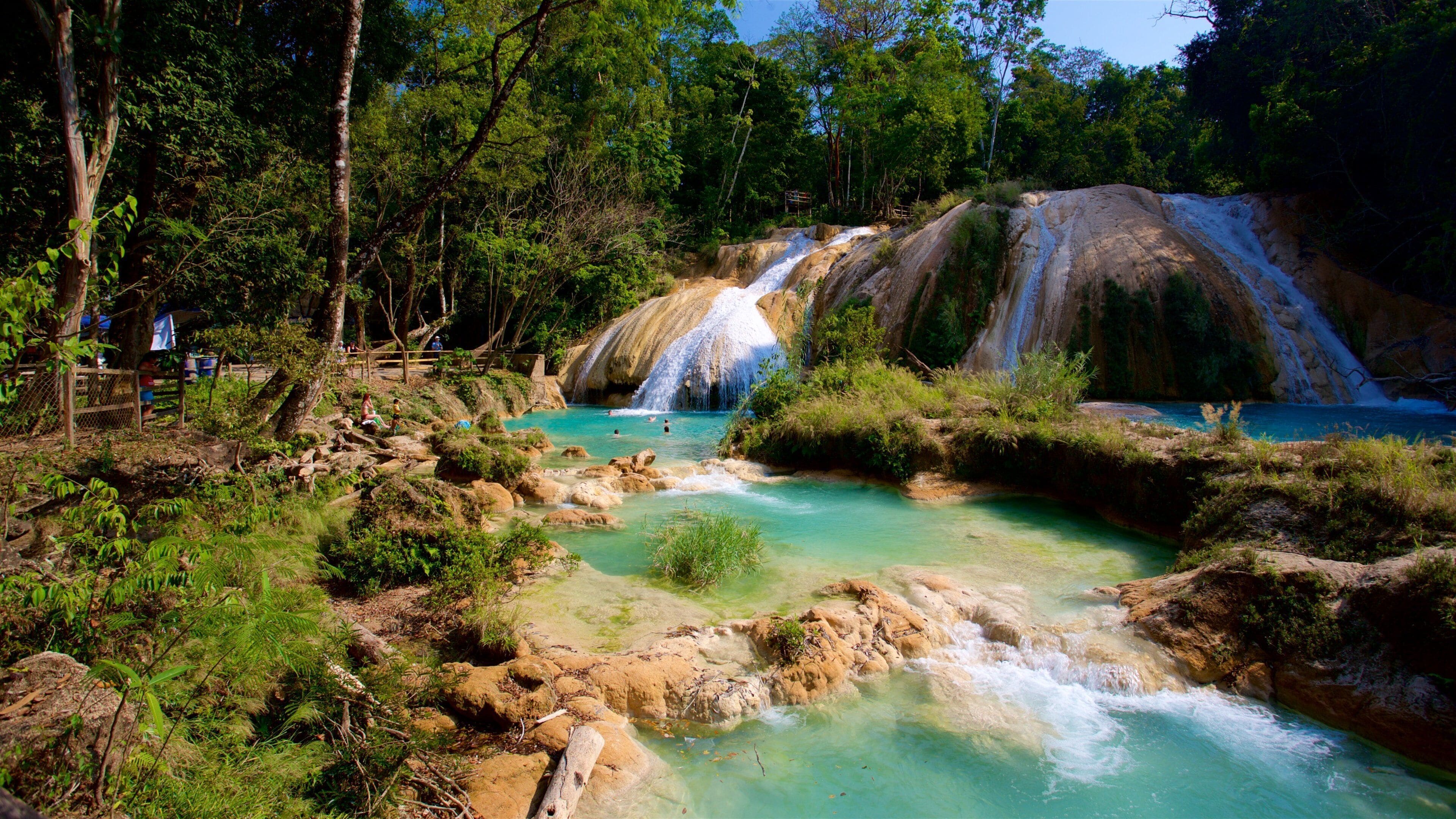 Cascadas de Agua Azul showing a waterfall and a river or creek