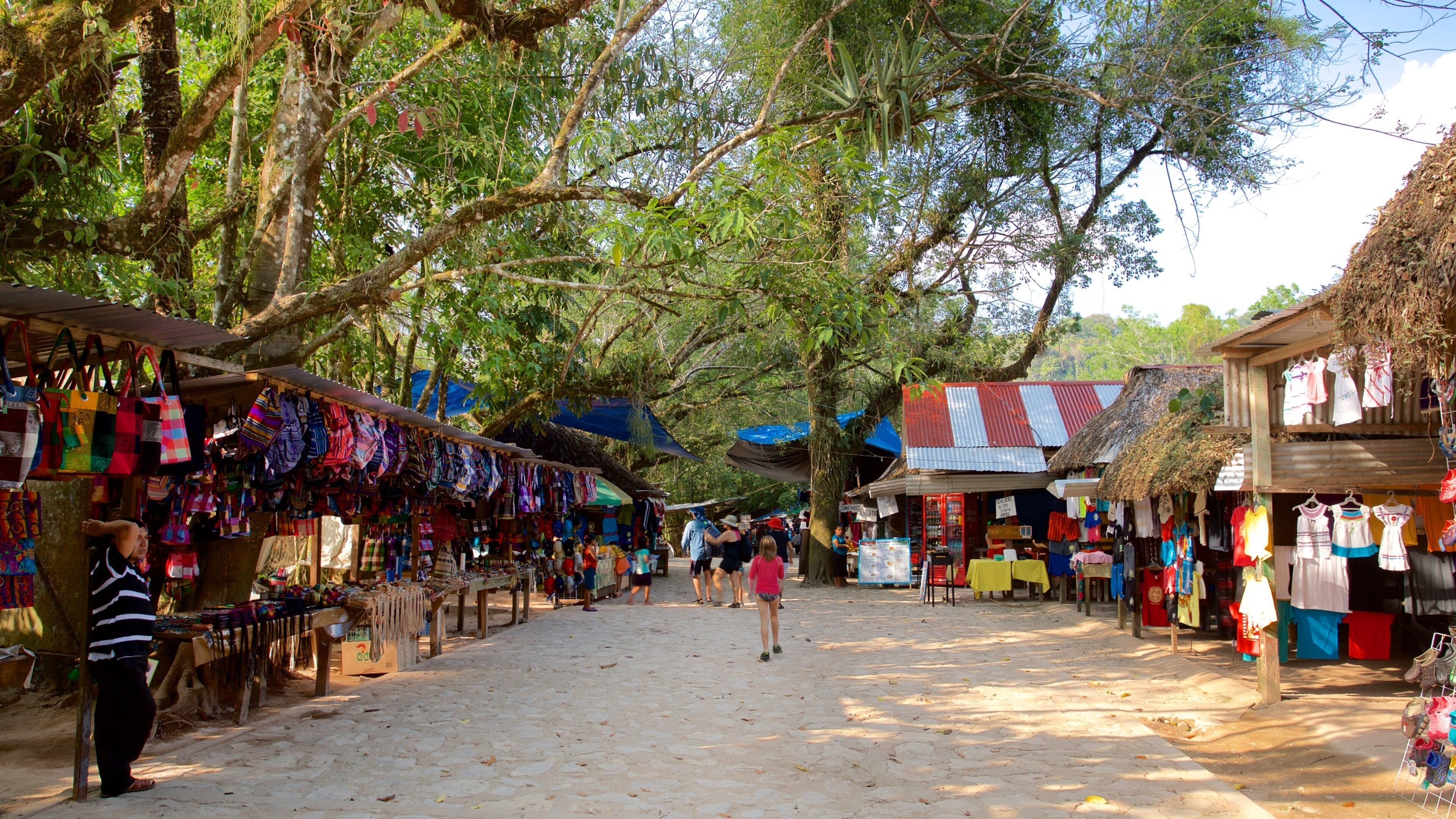 Cascadas de Agua Azul mostrando un parque y mercados