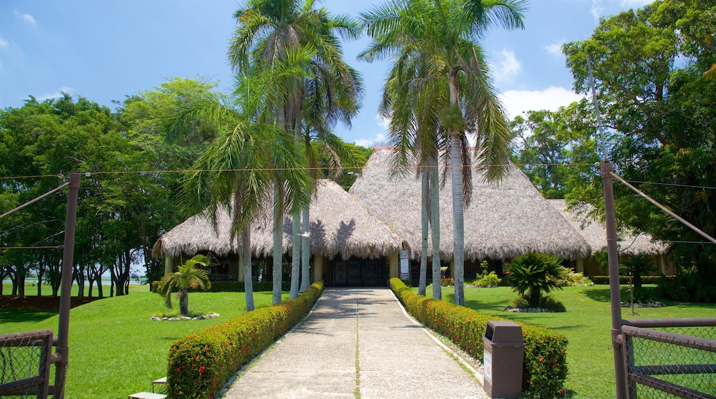 Villahermosa fasiliteter samt tropisk landskap, park og villblomster