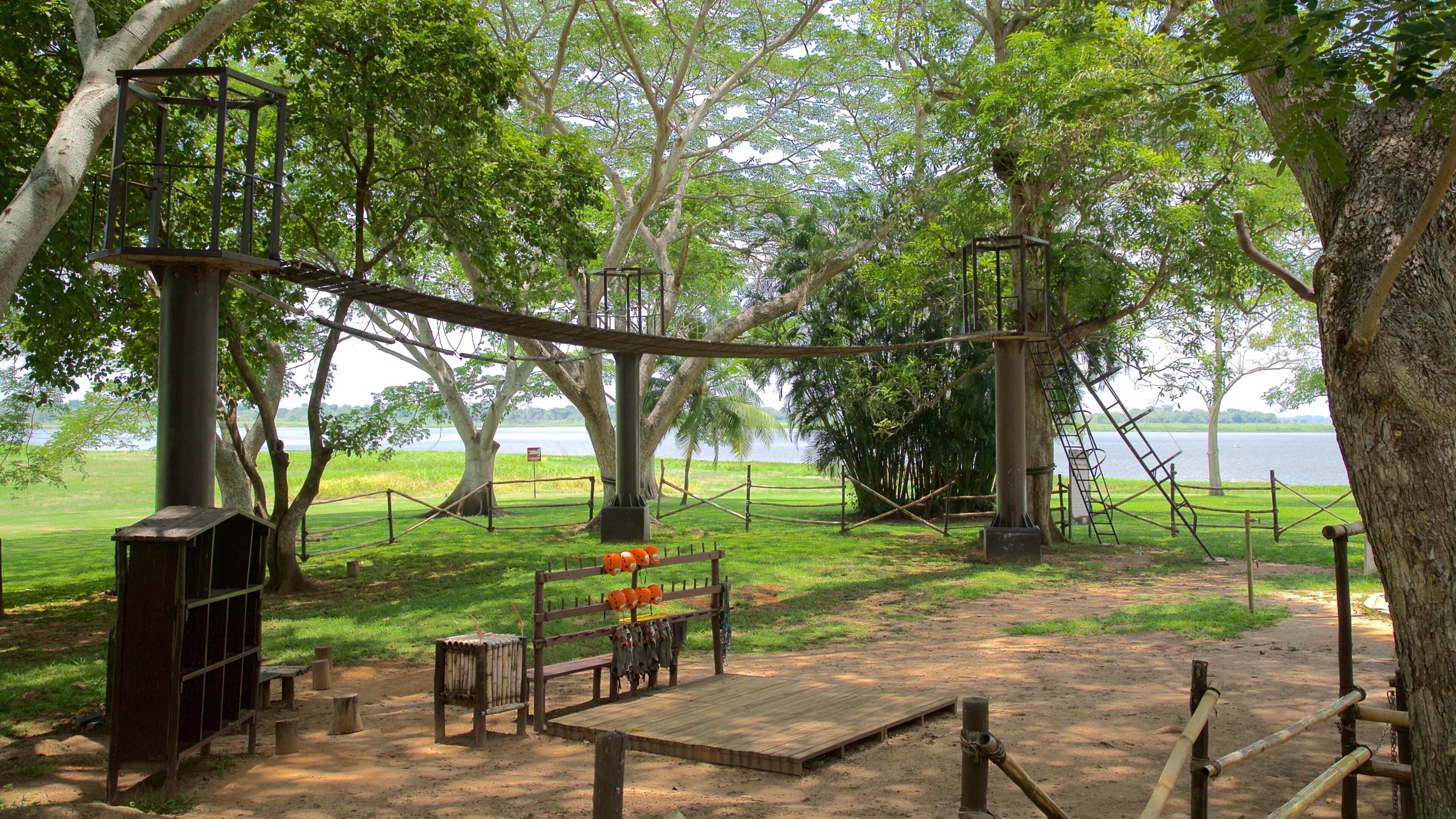 Villahermosa featuring a park