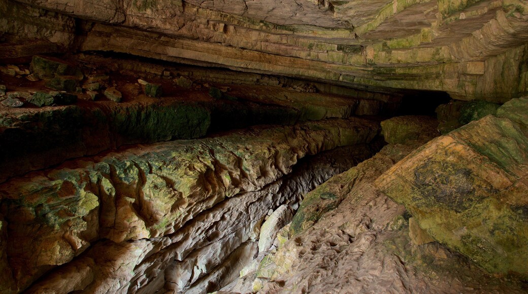 El Chorreadero presenterar grottor