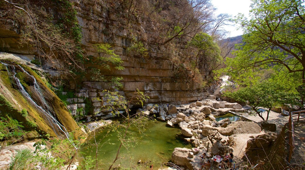 El Chorreadero showing a river or creek and a cascade