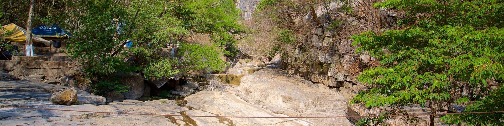 Un lecho de río pedregoso con agua, rodeado de árboles y un acantilado.