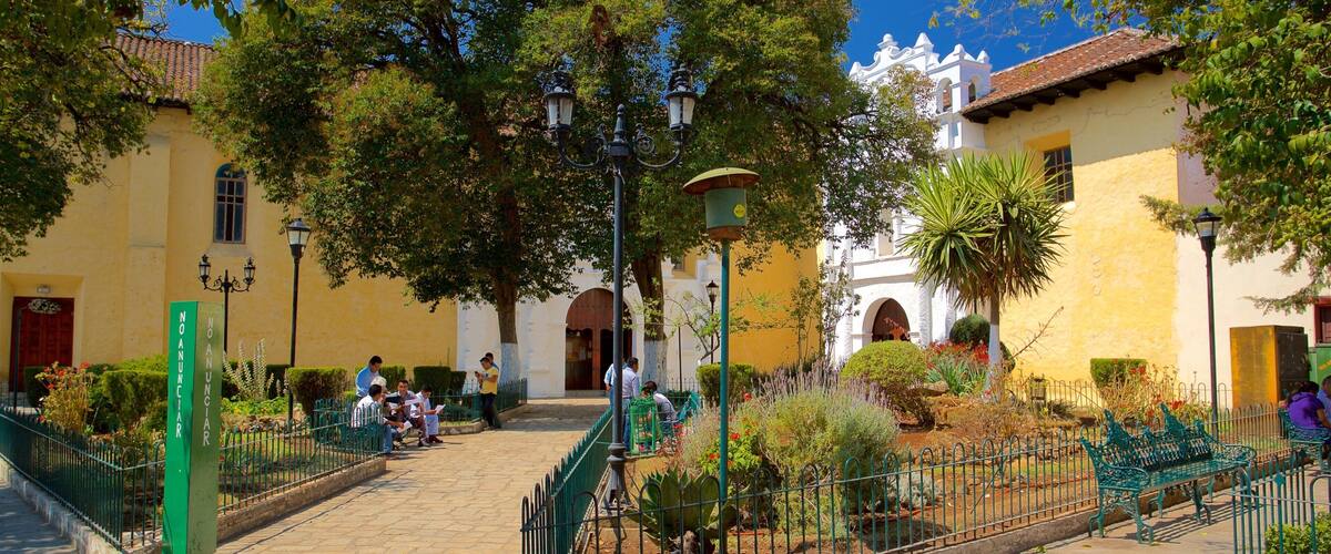 Templo del Carmen montrant jardin aussi bien que petit groupe de personnes