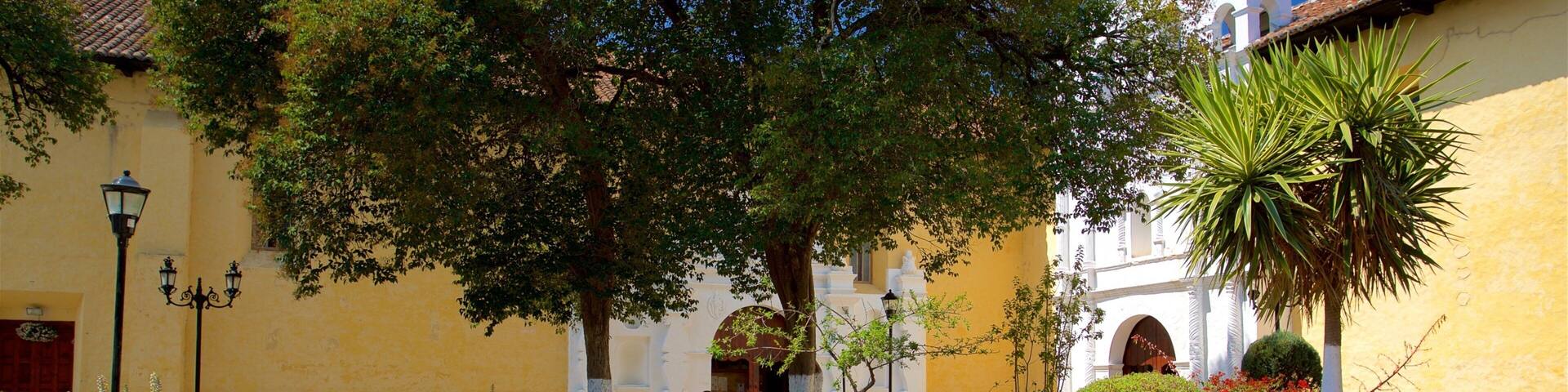 Templo del Carmen which includes heritage elements, wildflowers and a park
