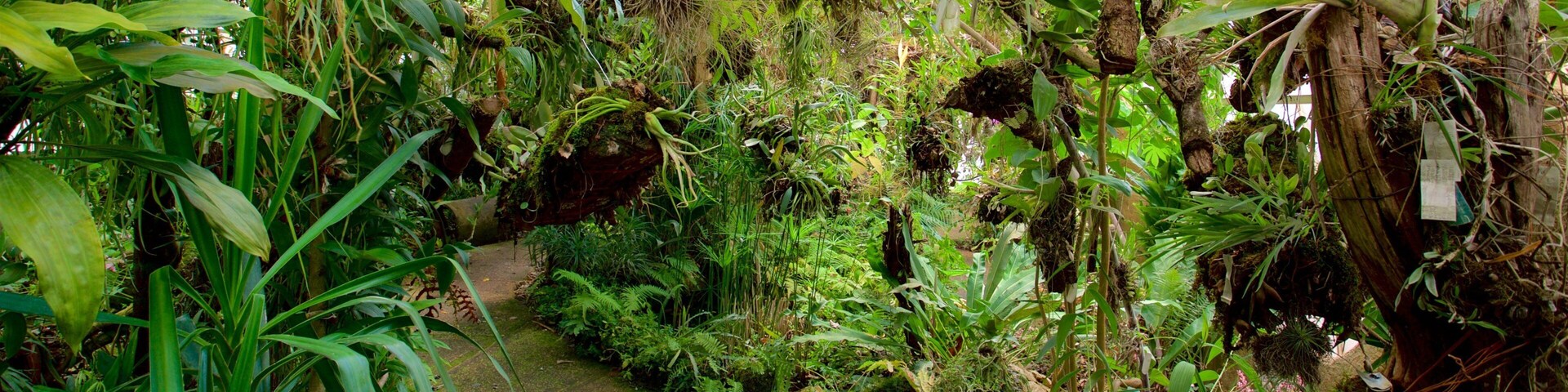 Orquideas Moxviduil Botanical Garden which includes a park