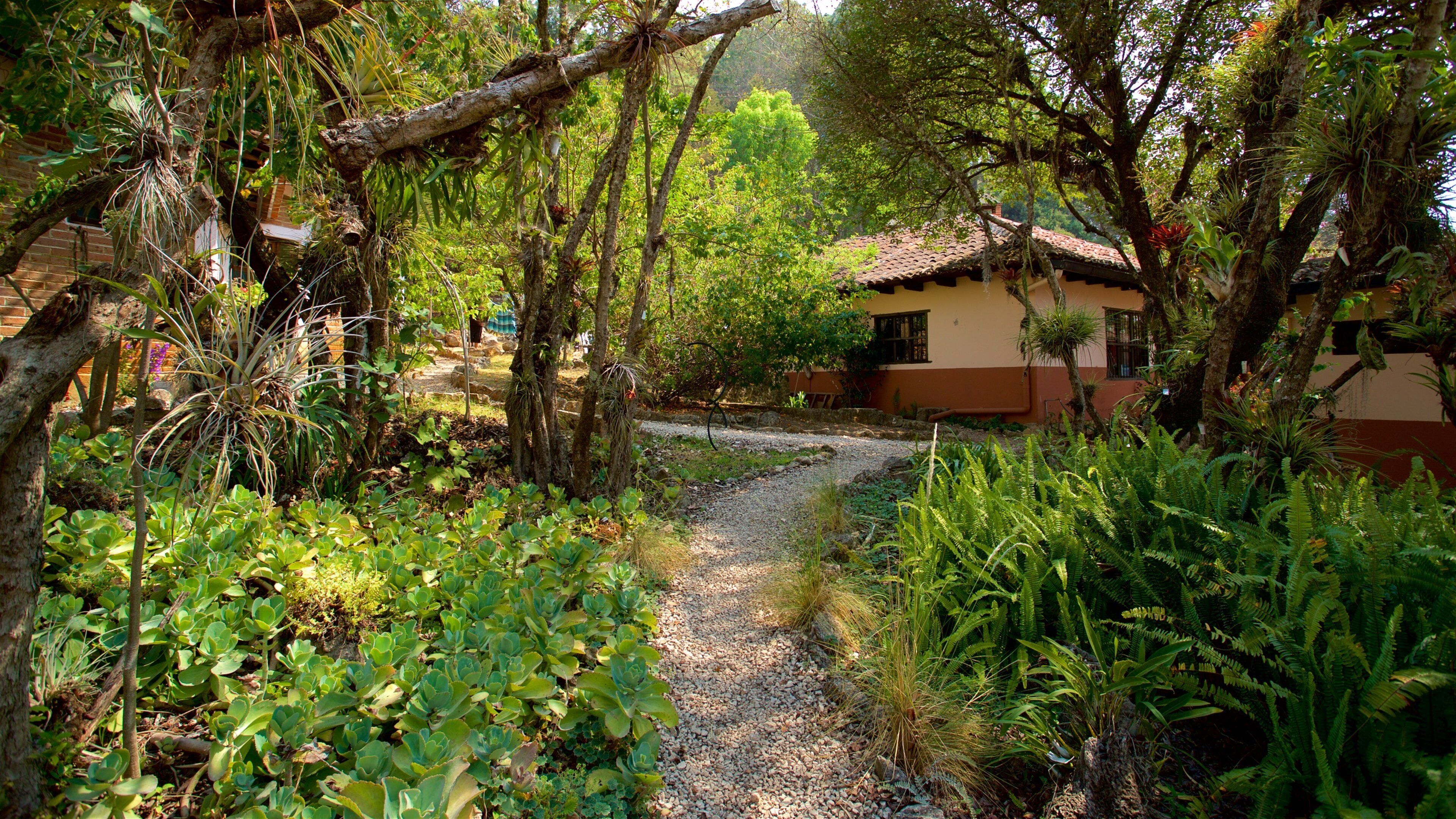 Orquideas Moxviduil Botanical Garden which includes a park