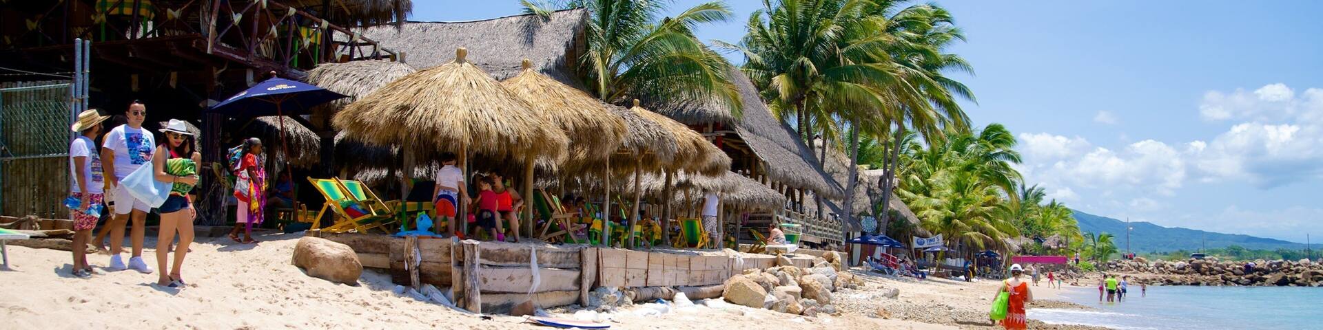 SĂŒdkĂŒste von Nayarit das einen Strandbar, tropische Szenerien und Sandstrand