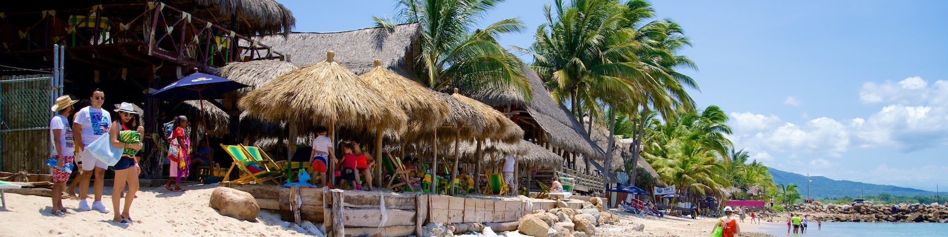 Nayarit mostrando uma praia de areia, cenas tropicais e um bar na praia