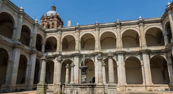 Museum of Cultures of Oaxaca, former Santo Domingo de Guzman convent, Central courtyard with fountain, Oaxaca, Mexico