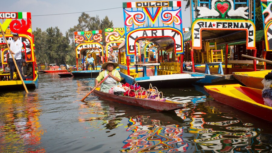 Flytande trädgårdar i Xochimilco