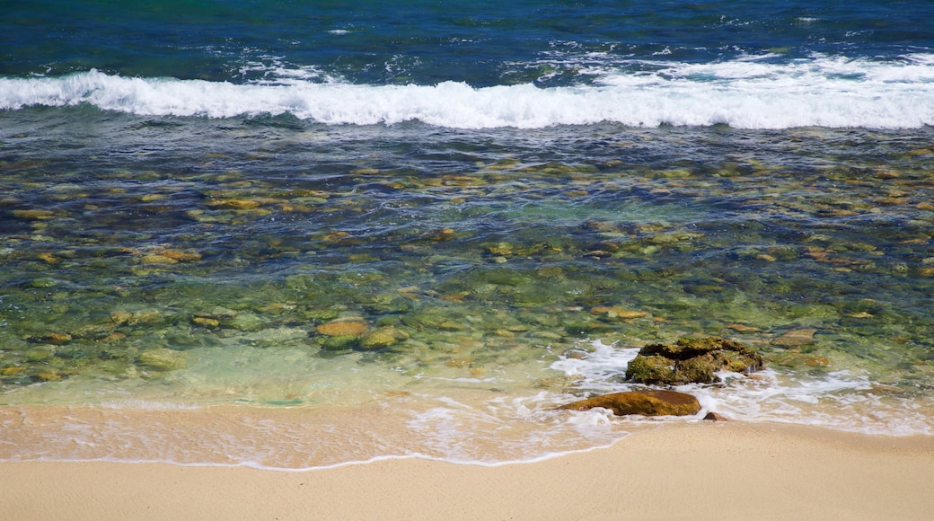 Desert Park Natural Reserve which includes a beach and general coastal views