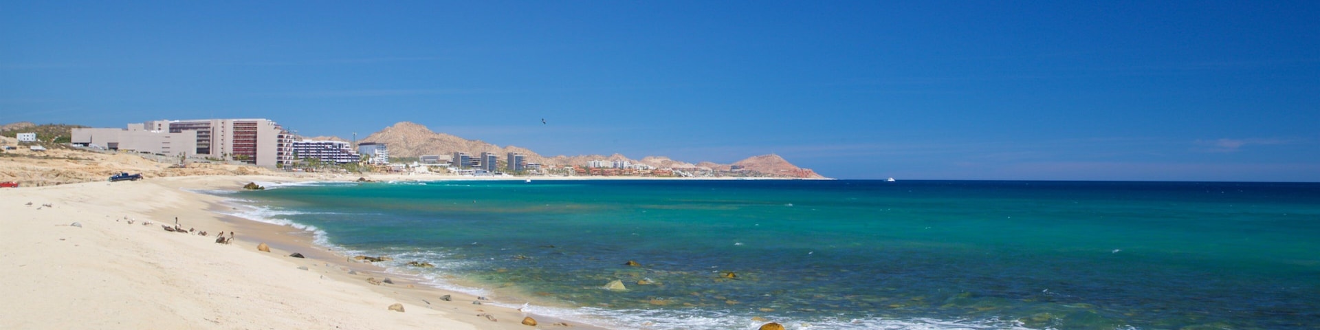 Desert Park Natural Reserve which includes a sandy beach, landscape views and general coastal views