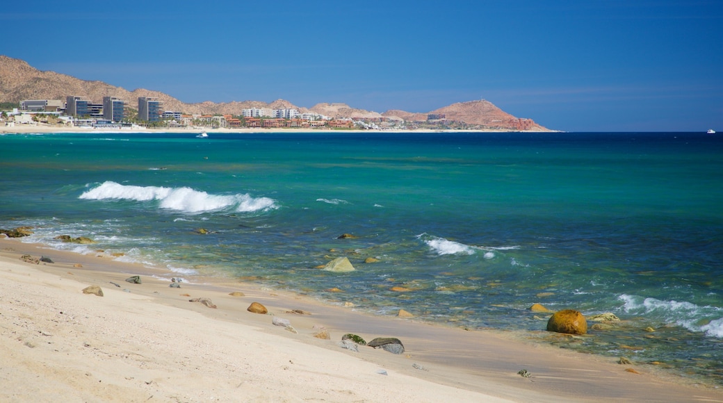 Desert Park Natural Reserve showing a sandy beach and general coastal views