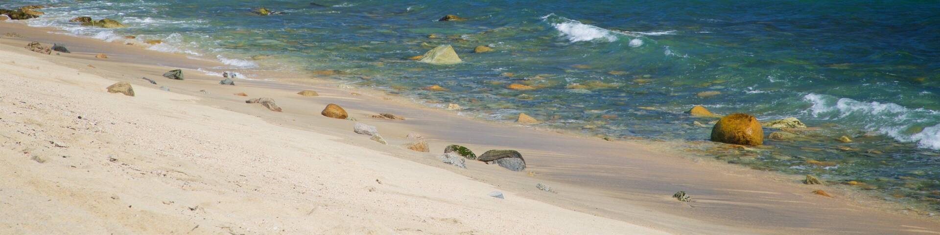 Desert Park Natural Reserve showing a sandy beach and general coastal views
