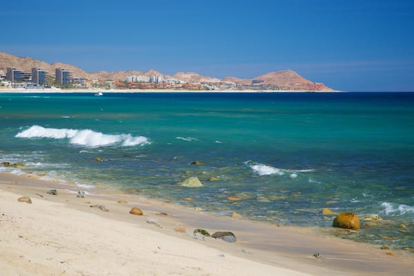 Desert Park Natural Reserve showing a sandy beach and general coastal views