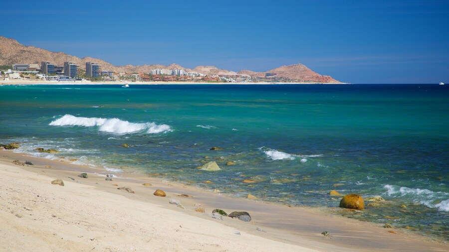 Desert Park Natural Reserve showing a sandy beach and general coastal views