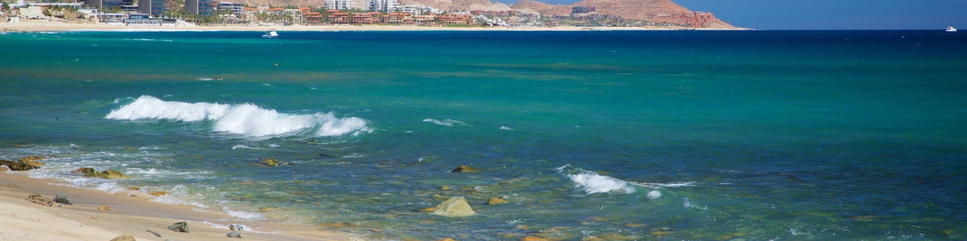 Desert Park Natural Reserve showing a sandy beach and general coastal views