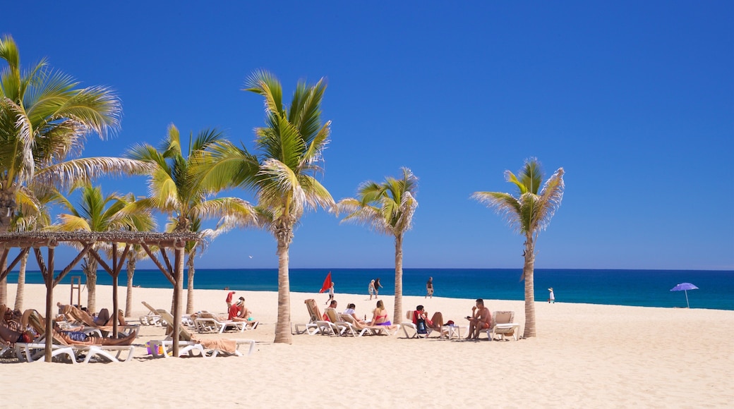 Playa Hotelera featuring tropical scenes, general coastal views and a beach