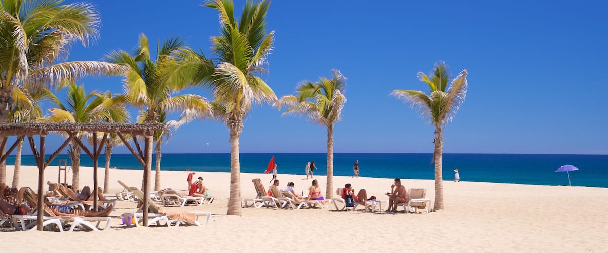 Playa Hotelera featuring tropical scenes, general coastal views and a beach