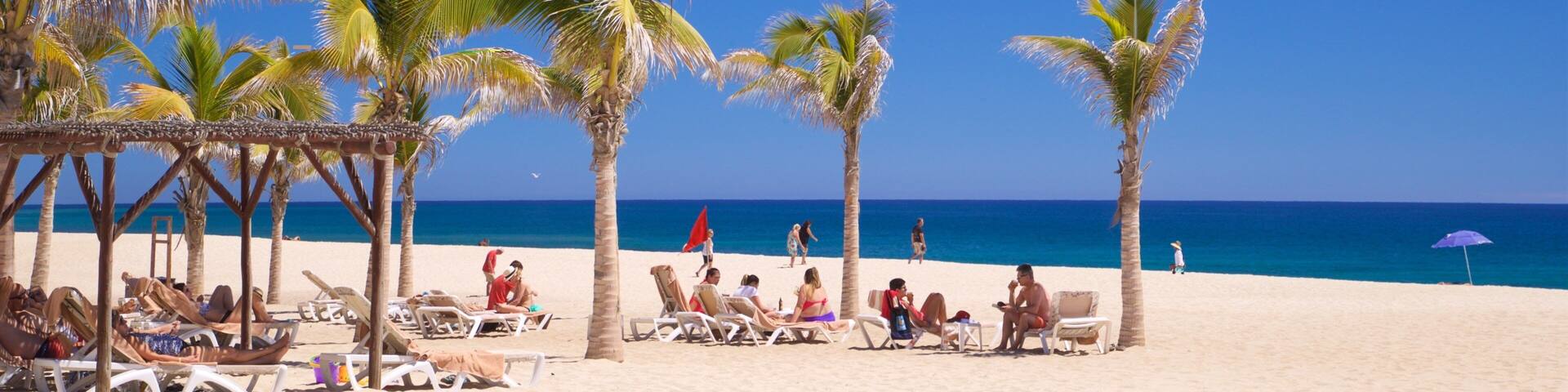 Playa Hotelera featuring tropical scenes, general coastal views and a beach