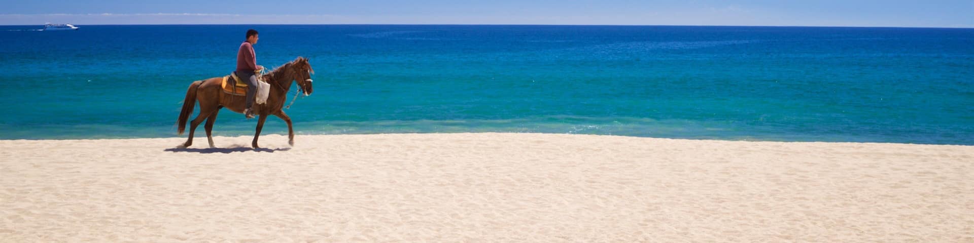 Playa Hotelera which includes a sandy beach, land animals and horseriding