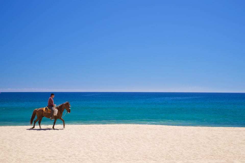 A person riding a horse on a sandy beach with a clear blue ocean in the background.