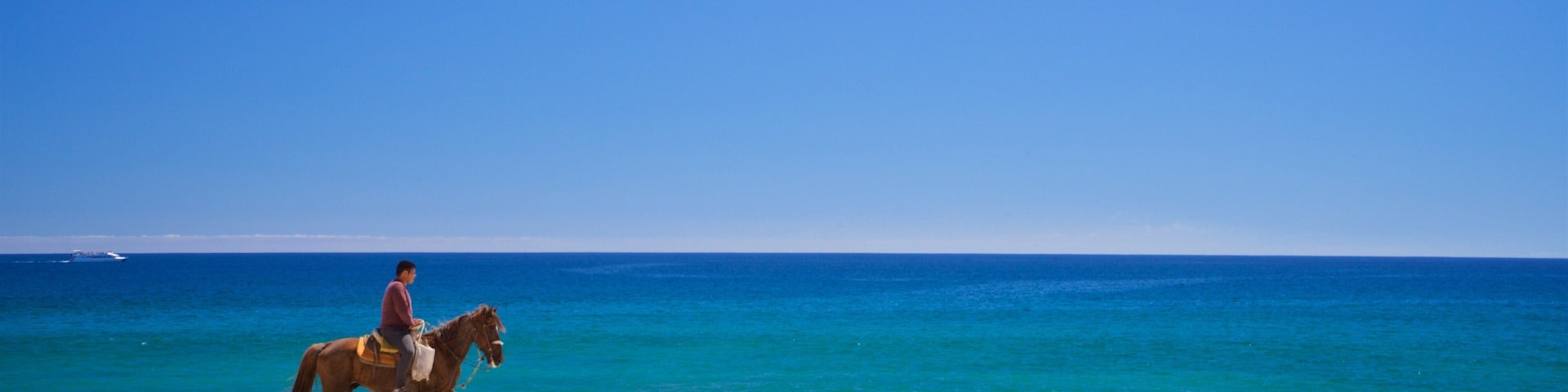 Playa Hotelera which includes a sandy beach, land animals and horseriding