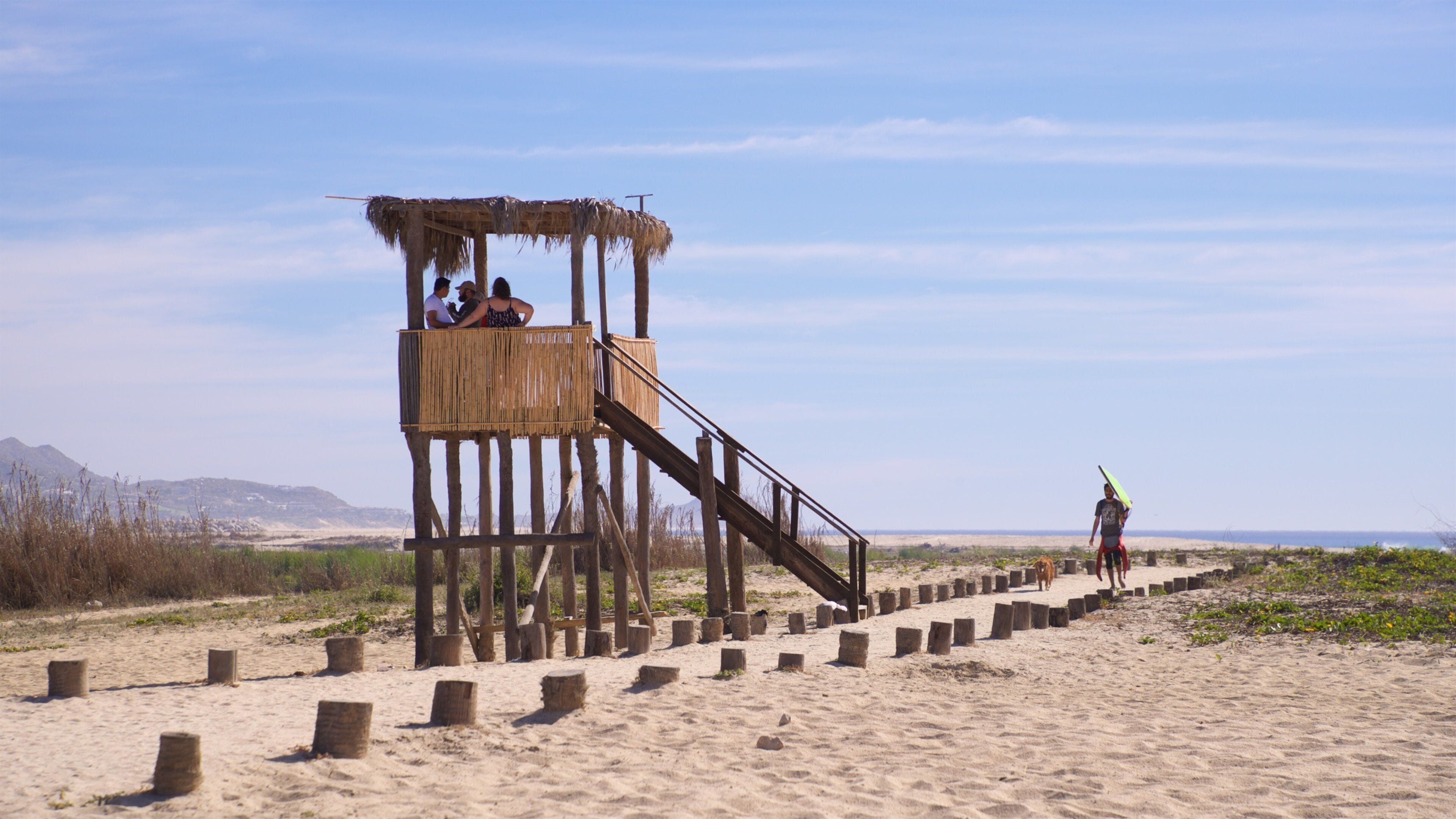 San Jose\'s Estuary and Bird Sanctuary featuring a sandy beach and general coastal views