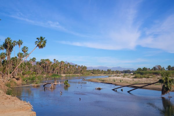 San Jose\'s Estuary and Bird Sanctuary which includes a river or creek, landscape views and wetlands