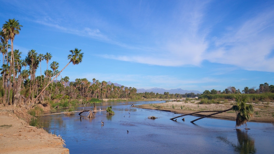 San Jose\'s Estuary and Bird Sanctuary which includes a river or creek, landscape views and wetlands
