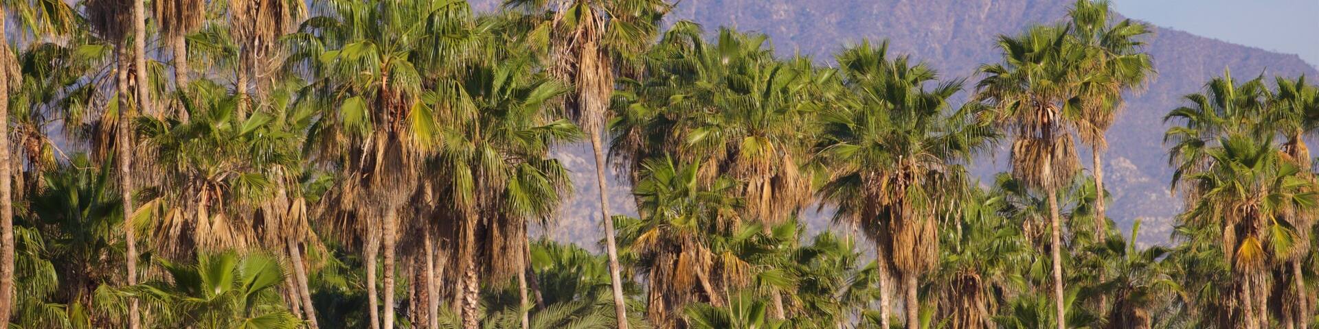 San Jose\'s Estuary and Bird Sanctuary which includes landscape views, mountains and tropical scenes