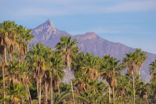 San Jose\'s Estuary and Bird Sanctuary which includes landscape views, mountains and tropical scenes