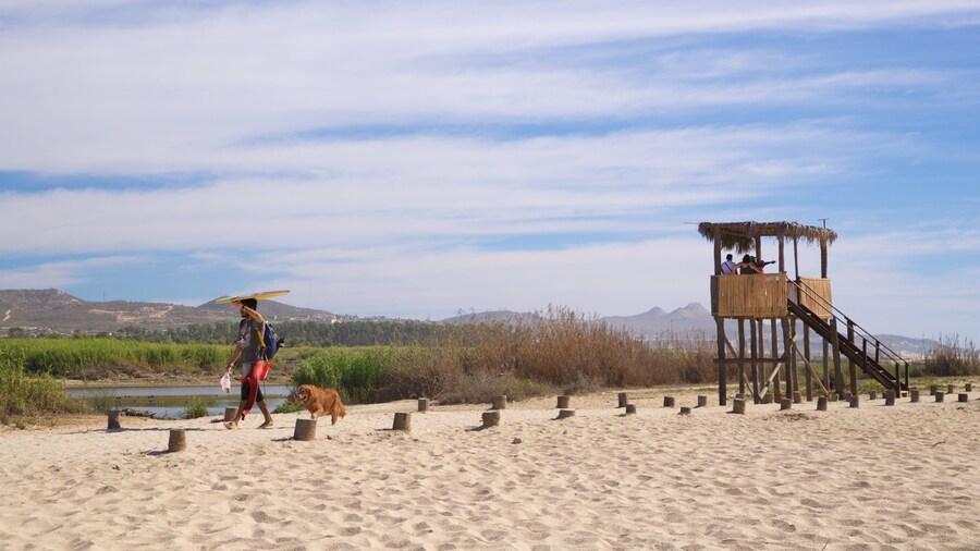 San Jose\'s Estuary and Bird Sanctuary showing a beach and general coastal views as well as an individual male