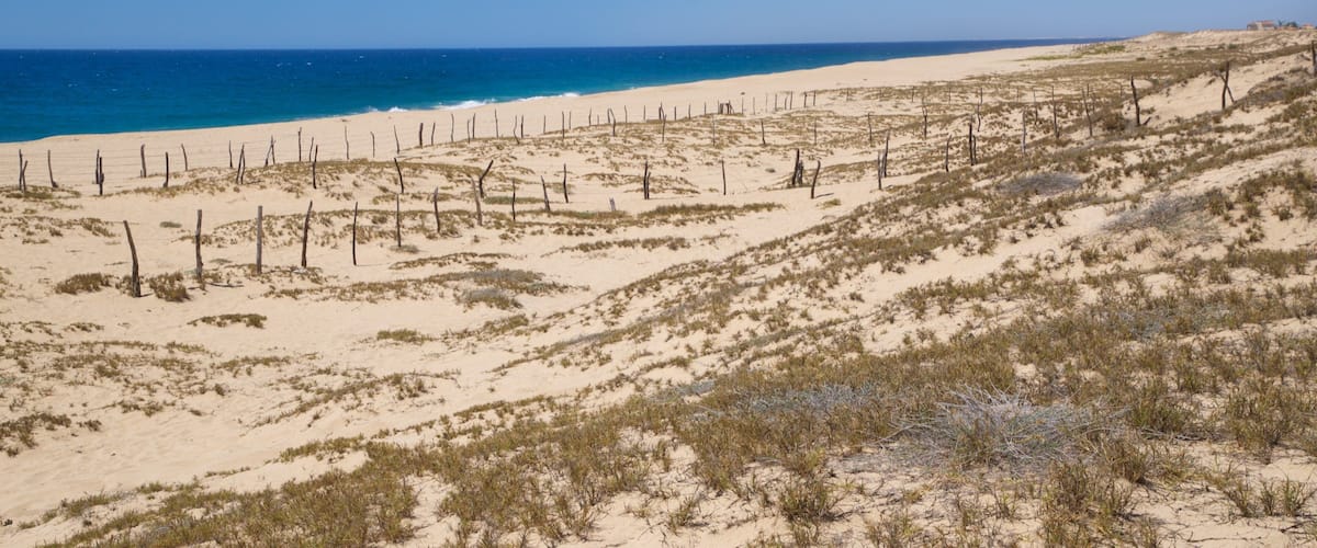 Playa La Cachora showing landscape views, a beach and general coastal views