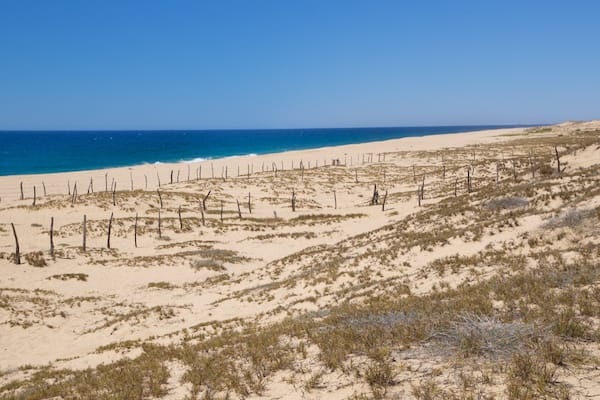 Playa La Cachora showing landscape views, a beach and general coastal views