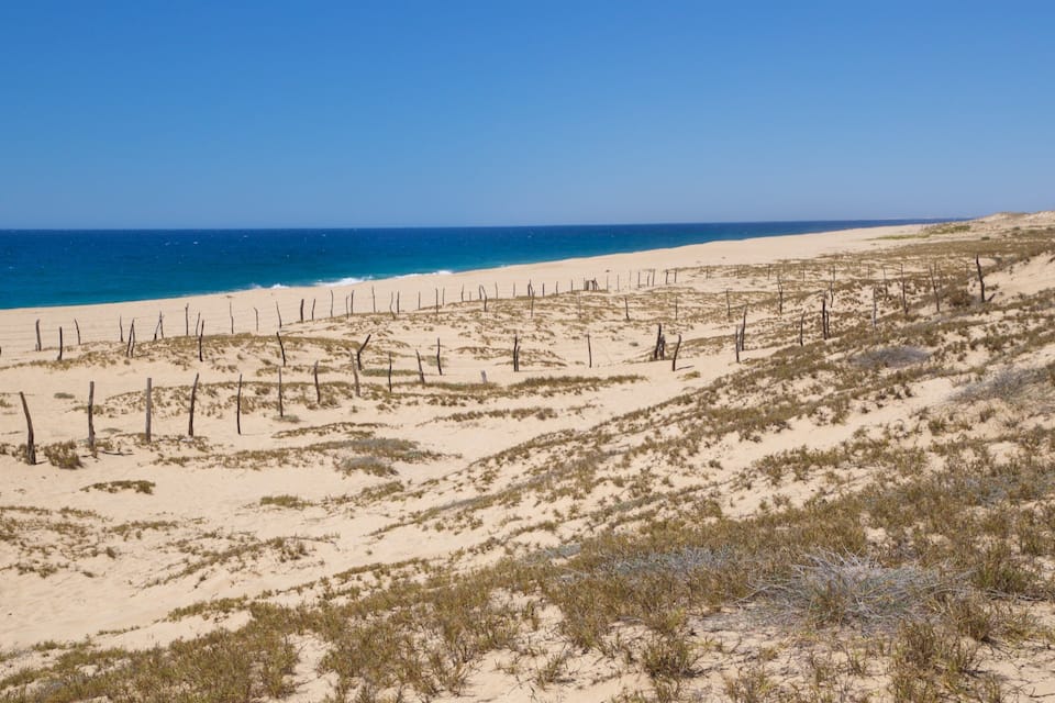 Una spiaggia sabbiosa con scarsa vegetazione e un cielo azzurro limpido.