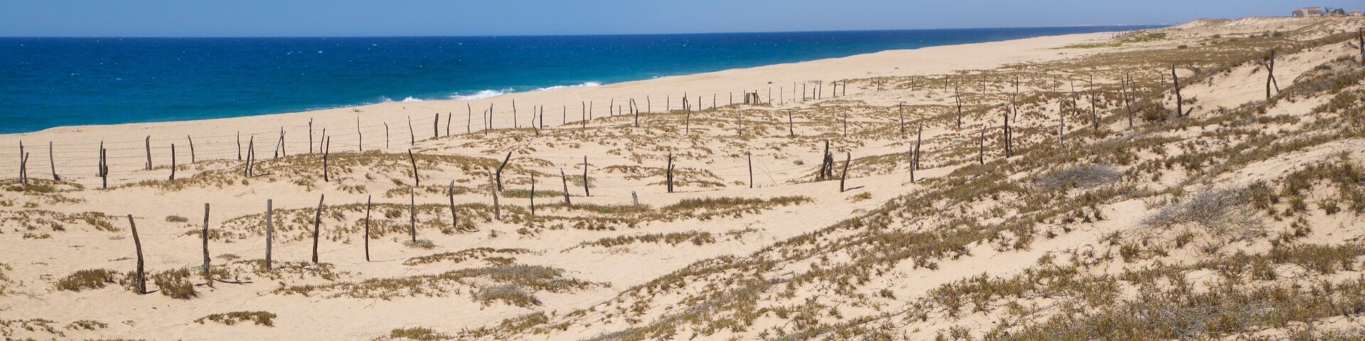 Playa La Cachora showing landscape views, a beach and general coastal views