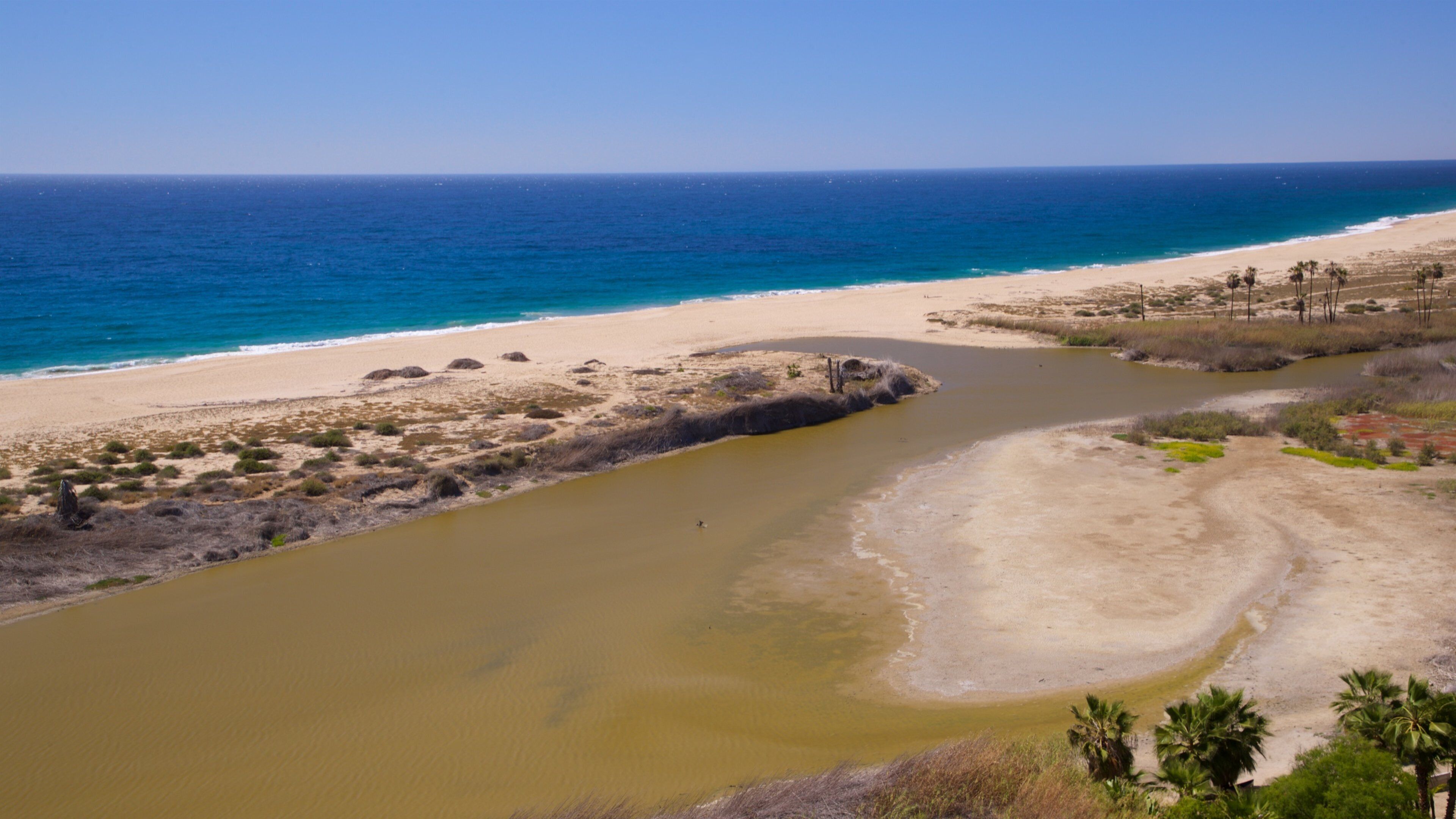 Playa La Cachora which includes landscape views, general coastal views and a sandy beach