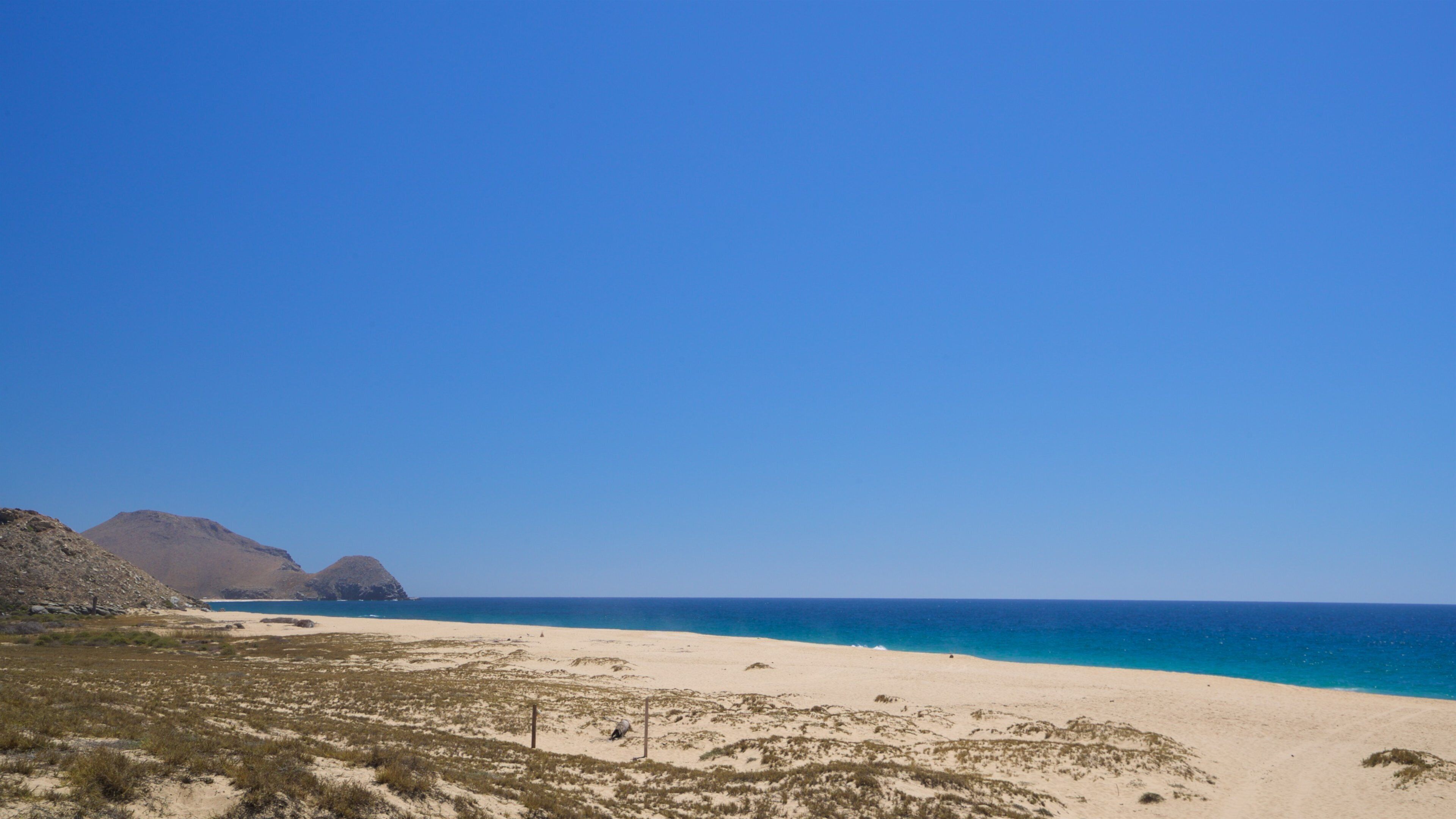 Playa La Cachora showing landscape views, a beach and general coastal views