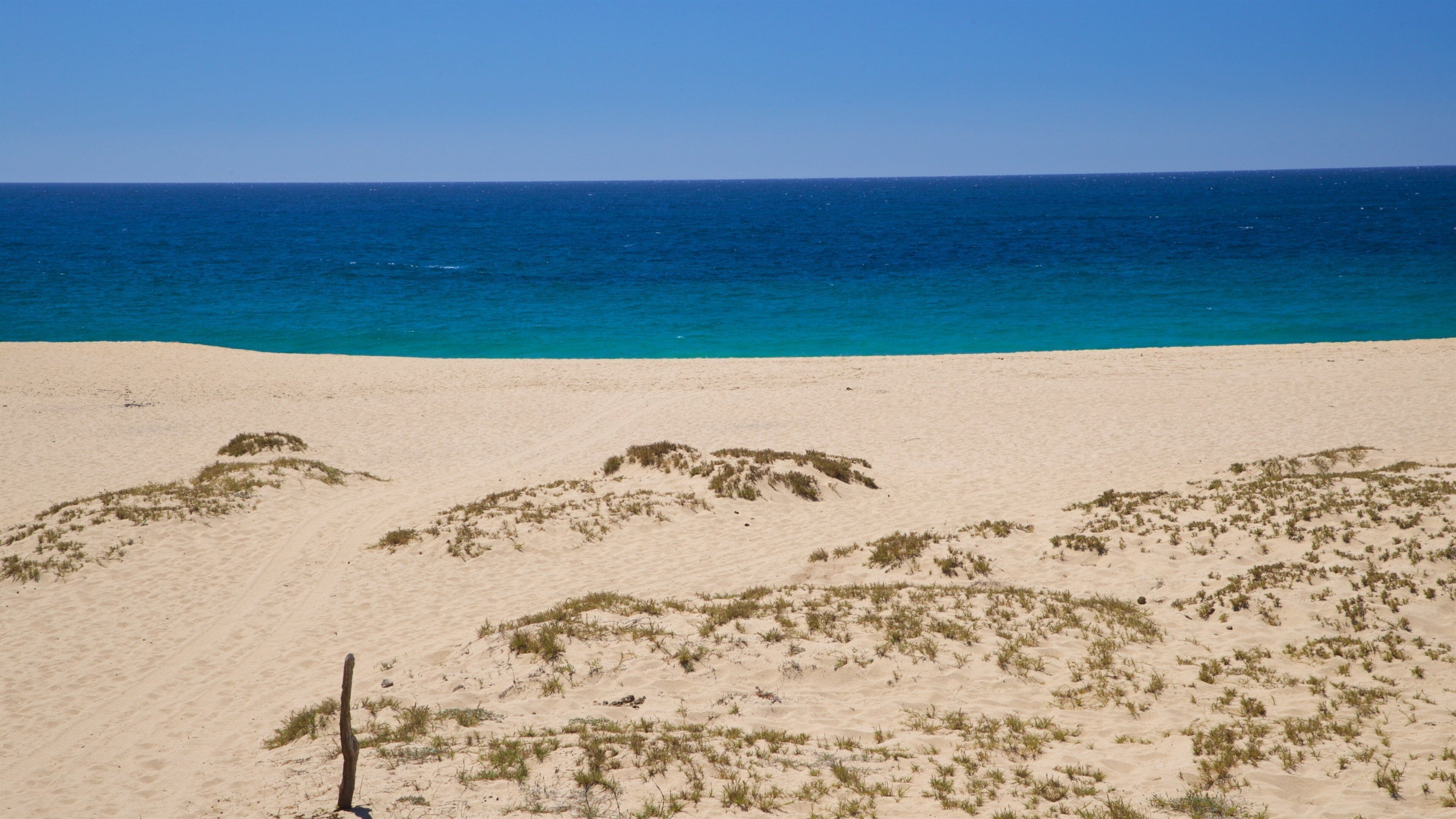 Playa La Cachora which includes landscape views, a sandy beach and general coastal views