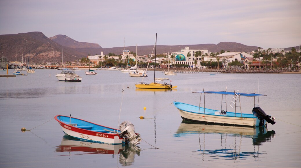Marina Cortez showing a bay or harbor