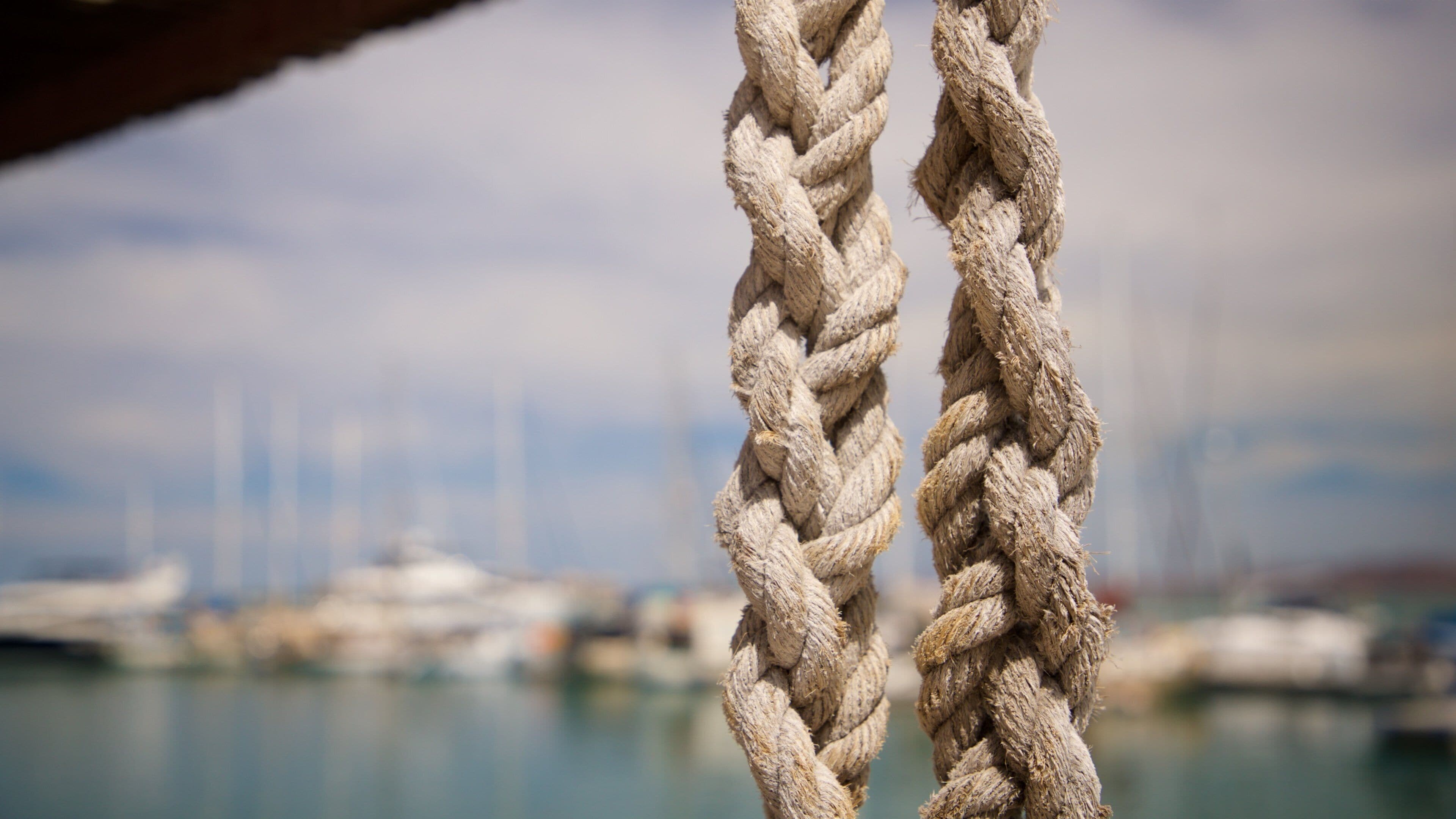 Marina Cortez showing a bay or harbor